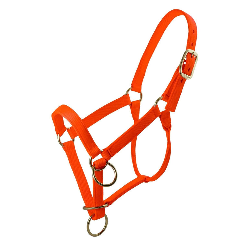 [AUSTRALIA] - TrailMax Packer's Halter, Intended for Horse and Mule Packing, Featuring Triple -Thick Nylon Webbing and Heavy Duty Hardware, Available in High-Vis Hunter's Orange Or Brown and Two Sizes Large 