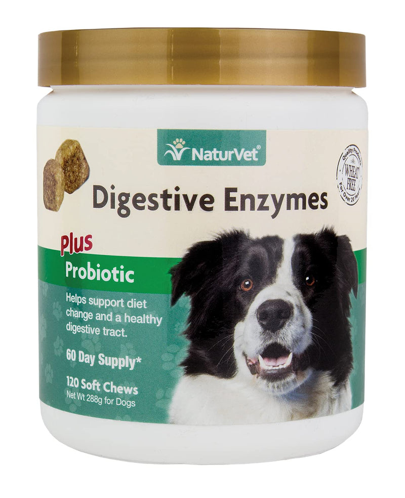 NaturVet – Digestive Enzymes for Dogs - Plus Prebiotics & Probiotics | Helps Support Diet Change & A Healthy Digestive Tract | for Dogs & Cats 120 Soft Chews - BeesActive Australia
