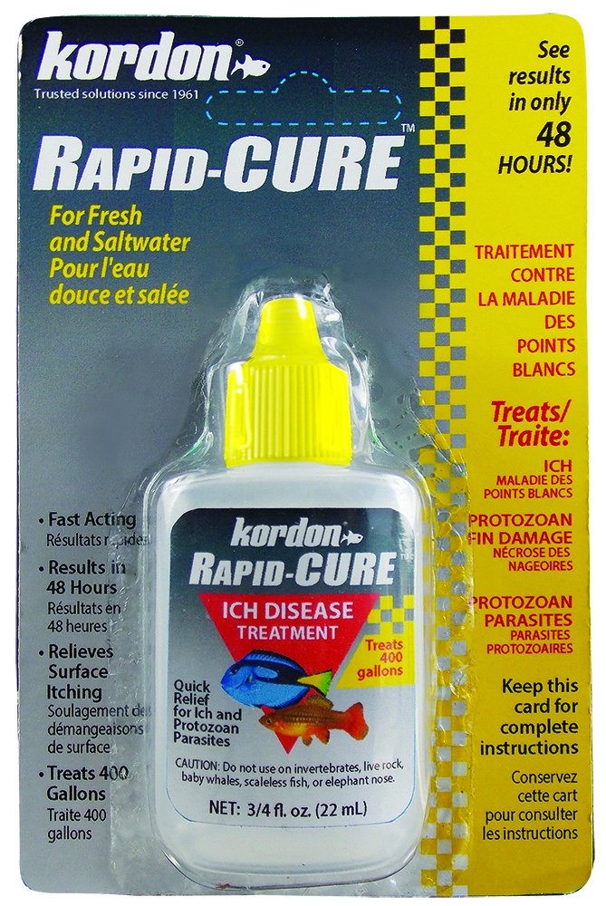 KORDON Rapid CURE # 37911 Ich & Parasite Treatment, 0.75 Ounce - BeesActive Australia
