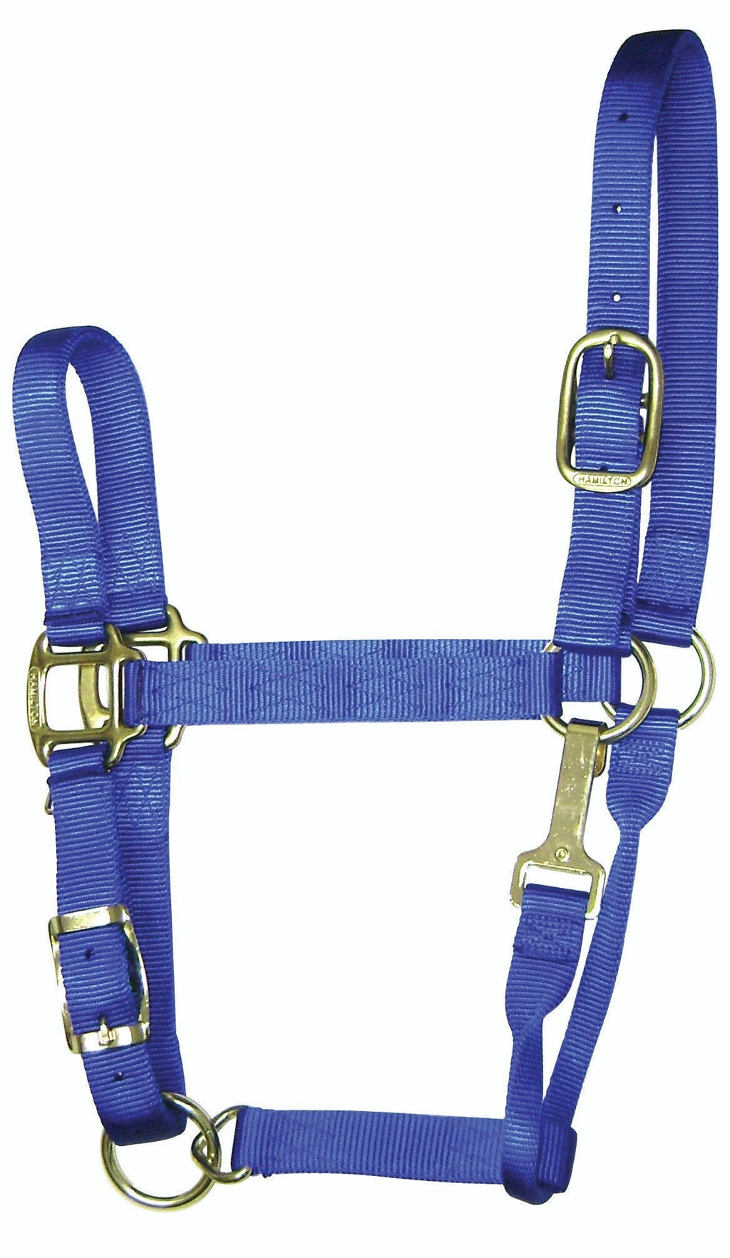 [AUSTRALIA] - Hamilton Nylon Adjustable Quality Horse Halter with Snap Blue Small, 500-800 pounds 