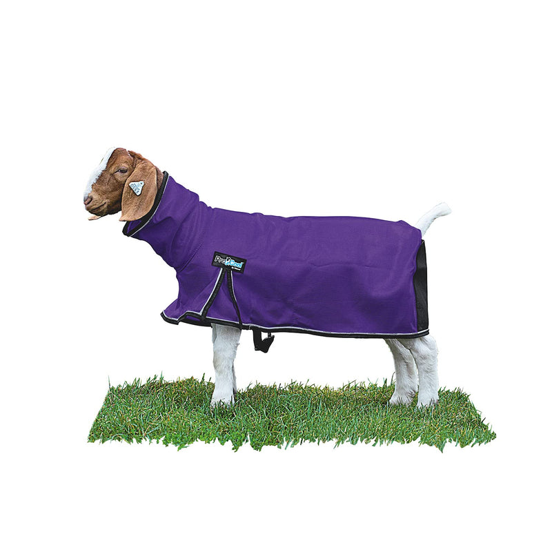 Weaver Livestock ProCool Goat Blanket Large Purple - BeesActive Australia