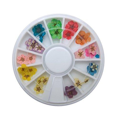 Goliton 36PCS Nail Art Accessories Dried Flowers Colorful Life Nail Flower Stickers for DIY Crafts Nails Decorations Nail Salon Nail Decals Nail Design for Nail Treatment Resin Jewelry 12color1 - BeesActive Australia