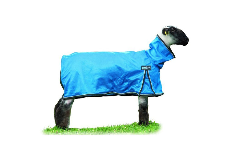 Weaver Livestock ProCool Sheep Blanket Small Blue - BeesActive Australia