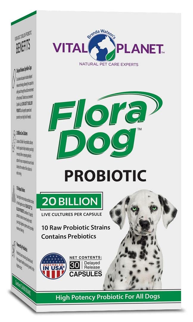 Vital Planet - Flora Dog Capsules Probiotic Supplement with 20 Billion Cultures and 10 Strains, High Potency Immune and Digestive Support Probiotics for Dogs, 30 Delayed Release Capsules - BeesActive Australia