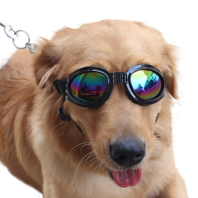 NACOCO Pet Glasses Dog Sunglasses Dog Glasses Golden Retriever Samoyed Sunglasses Goggles Big Dog Sunglasses (Black) Black - BeesActive Australia