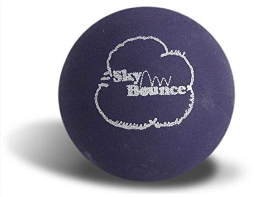 Sky Bounce Color Rubber Handballs for Recreational Handball, Stickball, Racquetball, Catch, Fetch, and Many More Games, 2 1/4-Inch (Purple, 12 Count, 6.00, 3.00, 6.00, 14.00, 2.00) - BeesActive Australia