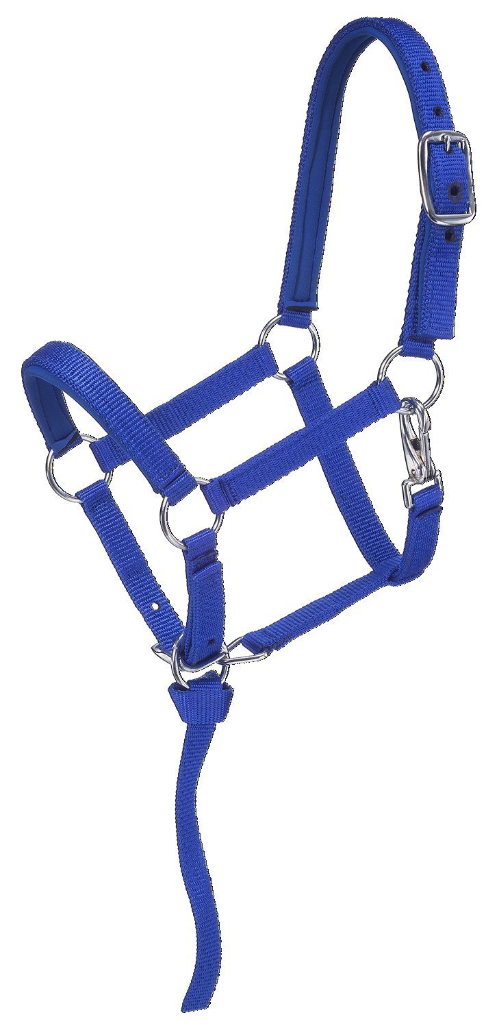 [AUSTRALIA] - Tough 1 Nylon Padded Miniature Halter Blue/Royal Medium 