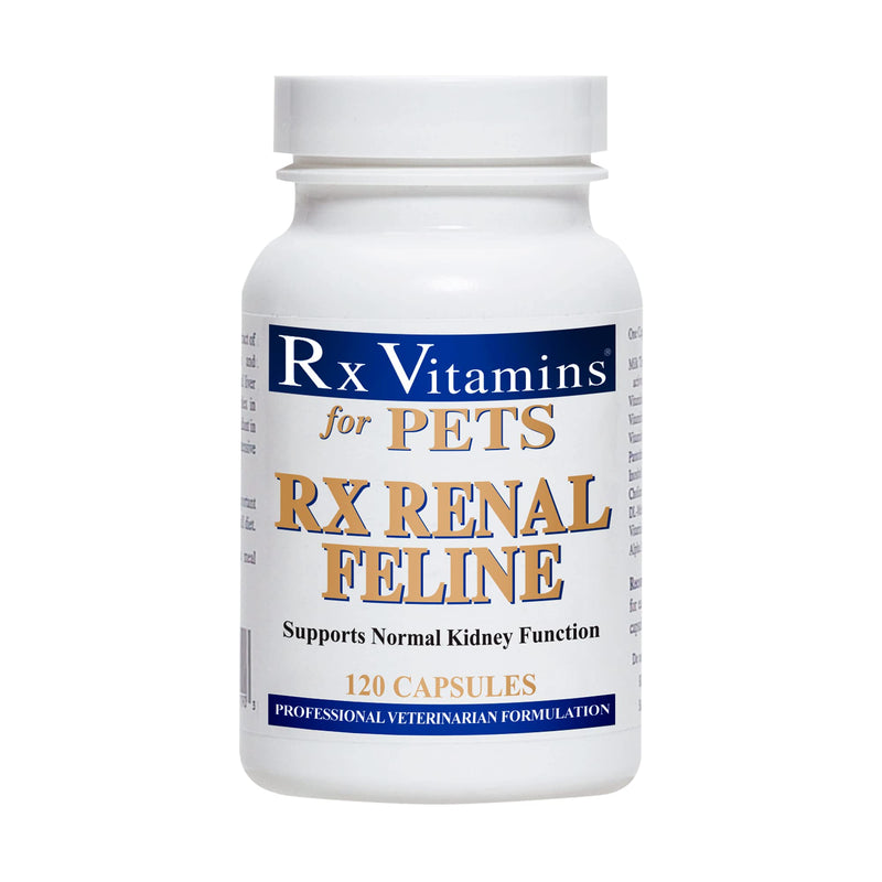 Rx Renal Feline, 120 Capsules - BeesActive Australia