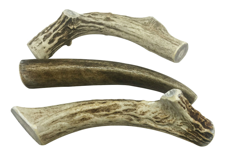 WhiteTail Naturals | 3 Pack | Deer Antler Dog Chews | All Natural Antlers for Dogs Medium (Pack of 3) - BeesActive Australia