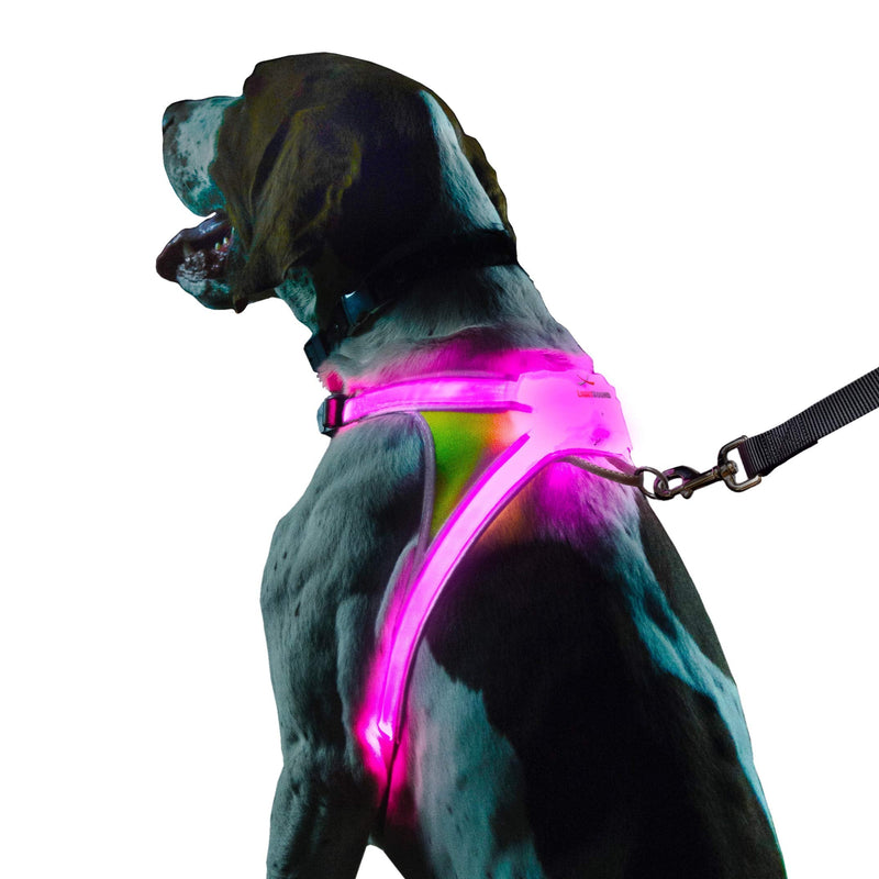 noxgear LightHound – Revolutionary Illuminated and Reflective Harness for Dogs Including Multicolored LED Fiber Optics (USB Rechargeable, Adjustable, Lightweight, Rainproof) Medium - BeesActive Australia
