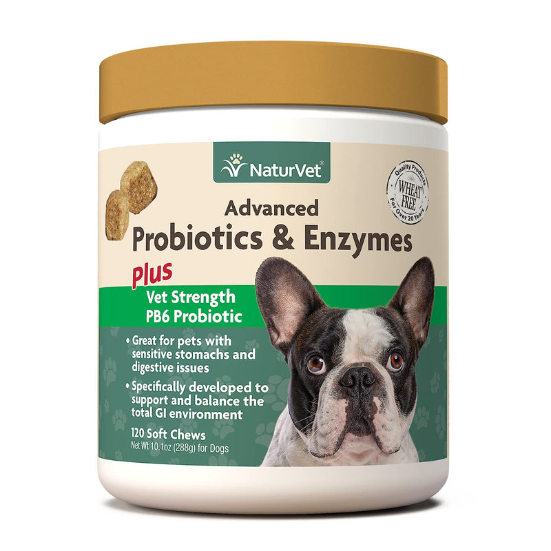 NaturVet – Advanced Probiotics & Enzymes - Plus Vet Strength PB6 Probiotic | Supports and Balances Pets with Sensitive Stomachs & Digestive Issues | for Dogs & Cats 120 Soft Chews - BeesActive Australia