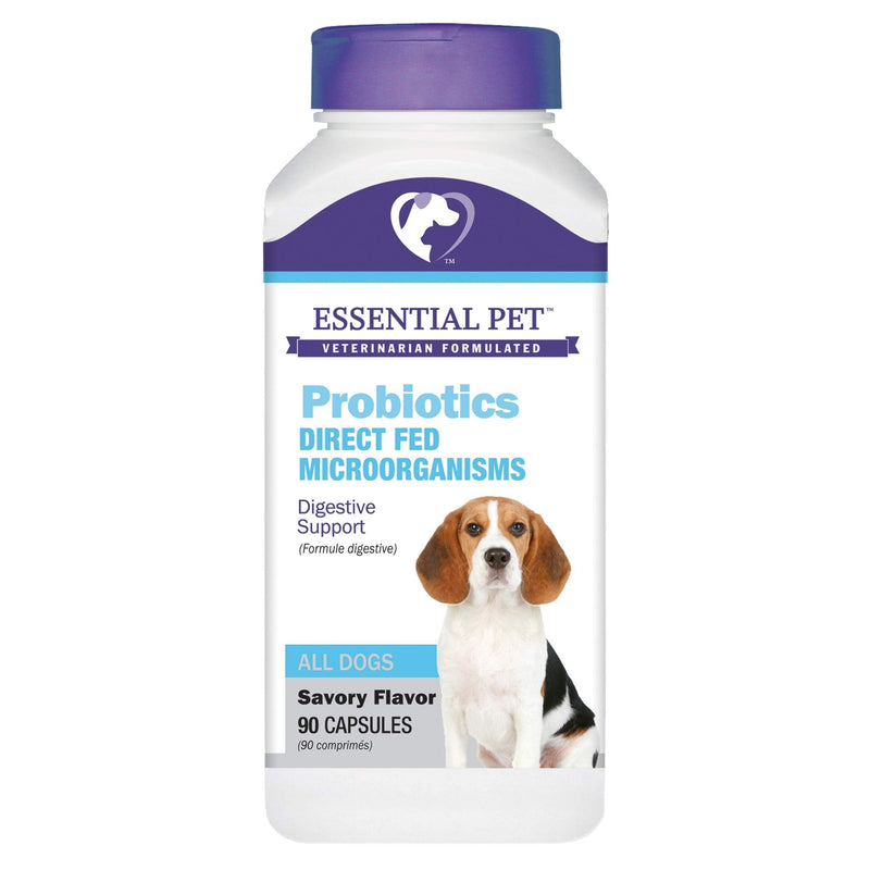 Essential Pet Probiotics with Direct-fed Microorganisms for Digestive Support in Dogs - BeesActive Australia