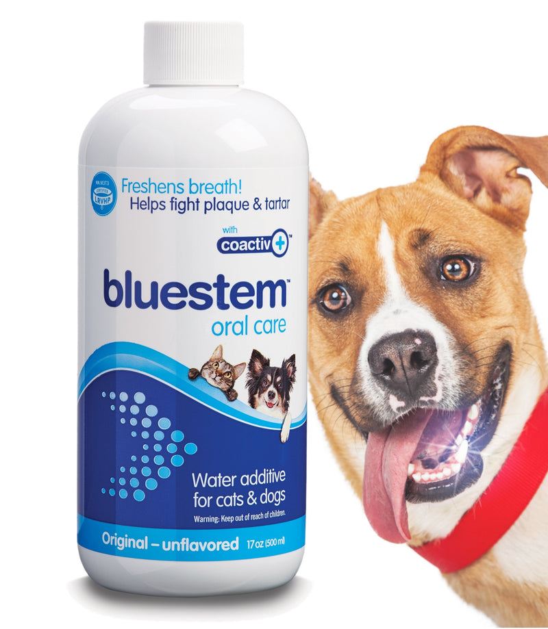 Pet Water Additive Oral Care: for Dogs & Cats Bad Breath, Dental Rinse Freshener Treats Plaque & Teeth Tartar. Dog & Cat Mouth Clean Health Treatment for Pets Drinking Bowl Original - BeesActive Australia