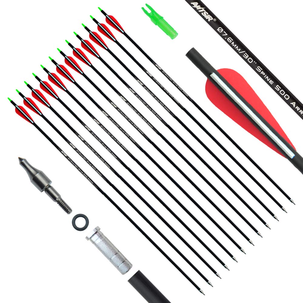 ANTSIR 30 Inch Carbon Arrows Practice Targeting Arrows with Removable Tips for Compound and Recurve Bow(Pack of 12) A-Red White - BeesActive Australia
