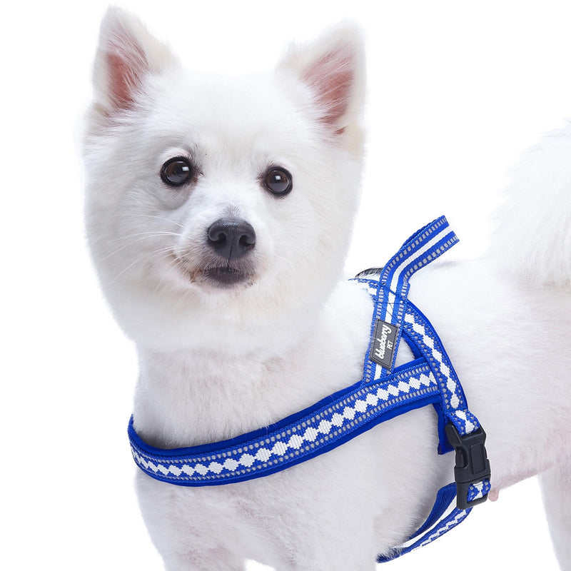 Blueberry Pet 4 Colors Soft & Comfy 3M Reflective Jacquard Padded Dog Harnesses (19" - 23.5") Chest Girth (Pack of 1) Diamond Pattern - Palace Blue - BeesActive Australia