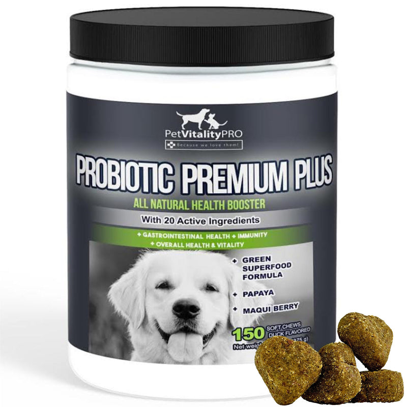PetVitalityPRO Probiotics for Dogs with Natural Digestive Enzymes ● 4 Bill CFUs/2 Soft Chews ● Dog Diarrhea Upset Stomach Yeast Gas Bad Breath Immunity Allergies Skin Itching Hot Spots 150 - BeesActive Australia