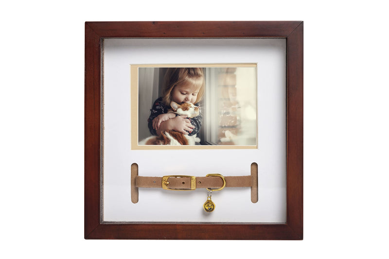 Pearhead Pet Collar Keepsake Picture Frame Espresso Collar Frame - BeesActive Australia