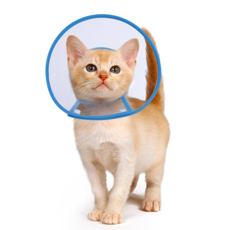 PETBABA Cat Cone Collar in Recovery, Clear Elizabethan Not Block Vision, Soft Padded E-Collar Protect Neck, Suitable Kitten Puppy Dog Pet in Surgery Remedy Grooming 5"-6" Blue - BeesActive Australia