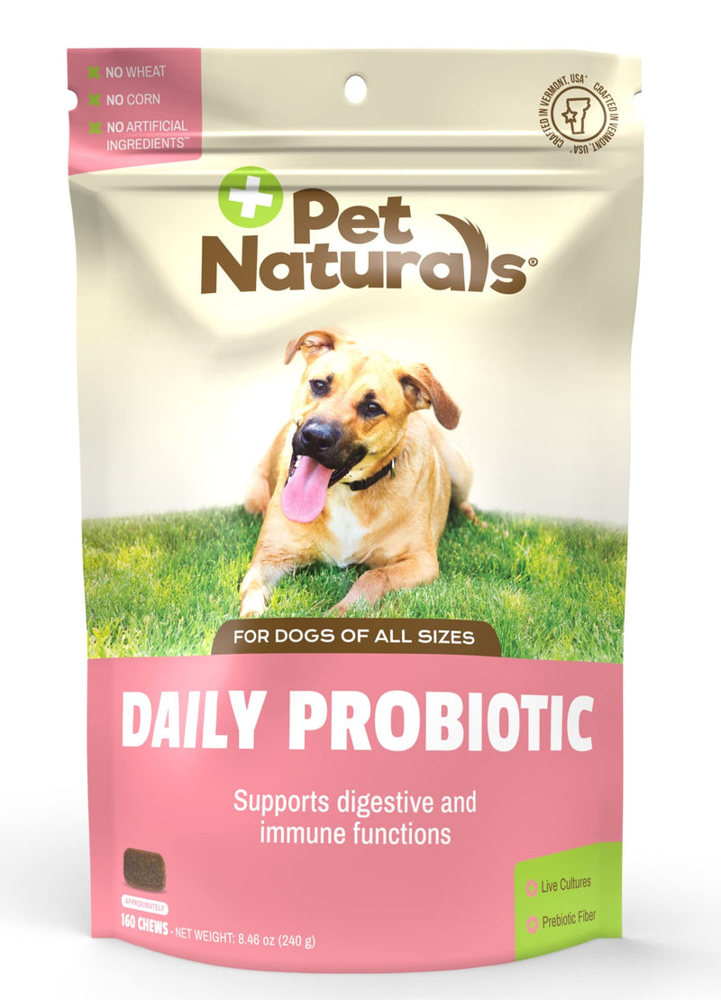 Pet Naturals Daily Probiotic and Prebiotic Supplement Chews for Dogs - Vet Recommended Digestive and Immune Support Supplement 160 - BeesActive Australia