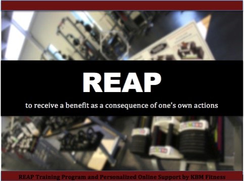 REAP Training Guide and Online Trainer - Training, Nutrition, Diet, Workout, Fitness, Exercise - BeesActive Australia