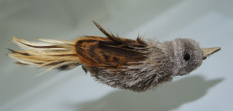 Fun Bird/Bat/Bugs Refill/Attachment - Fits Wildcat and Popular Bird and Mouse Type Wands/Poles House Finch - BeesActive Australia