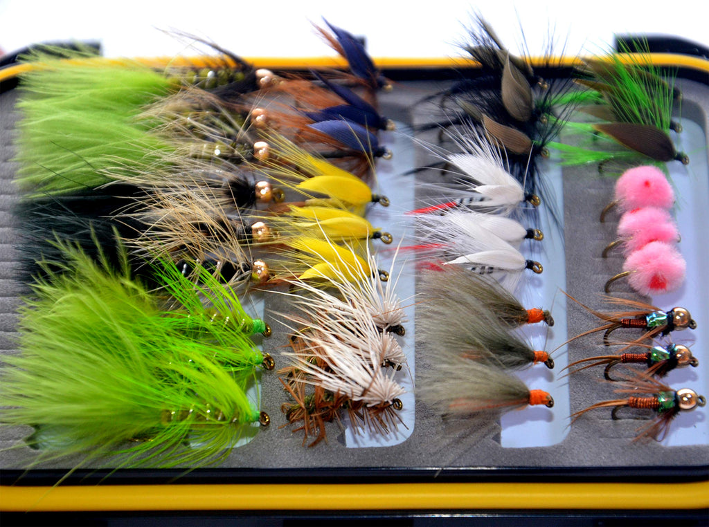 Outdoor Planet 36Pieces Dry Fly, Wet Fly and Nymph Fly Lure Assotment for Trout Fly Fishing Flies 36 Flies (fly box Not Included) - BeesActive Australia