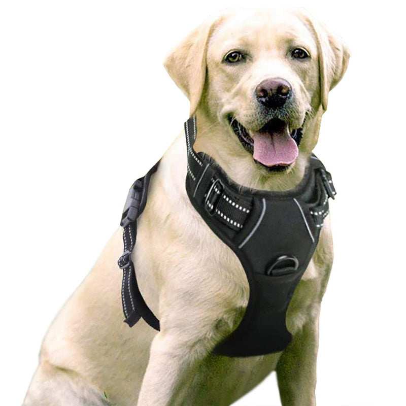 rabbitgoo Dog Harness, No-Pull Pet Harness with 2 Leash Clips, Adjustable Soft Padded Dog Vest, Reflective Outdoor Pet Oxford Vest with Easy Control Handle Large Classic Black - BeesActive Australia