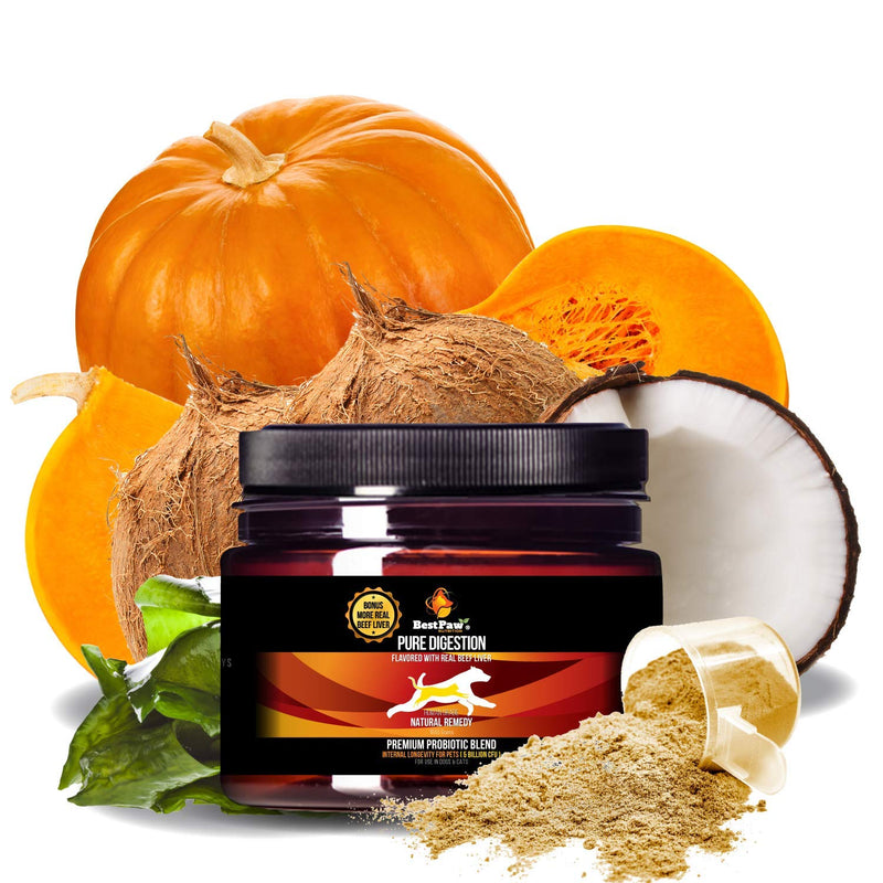 Probiotics for Dogs & Cats with Prebiotics & Digestive Enzymes Best for Gas Diarrhea UTI & Yeast Infection Relief Grain Free Powder Supplement Organic Coconut Oil Pumpkin & Turmeric Made in The USA - BeesActive Australia