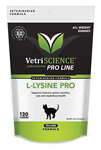 VetriScience L-Lysine Pro for Cats - Immune System Support for Felines - 120 Small Soft Chews - BeesActive Australia