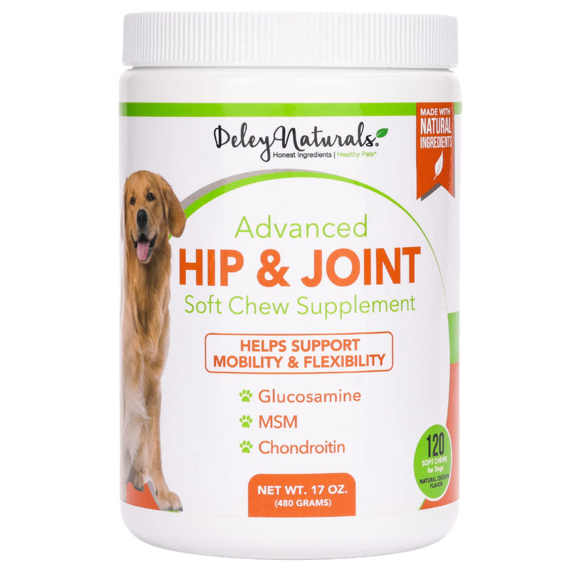Deley Naturals, Advanced Arthritis Pain Relief for Dogs, Glucosamine Chews for Dogs with Chondroitin, MSM and Organic Turmeric, Made in USA Dog Treats, 100% Natural, 120 Soft Chews - BeesActive Australia