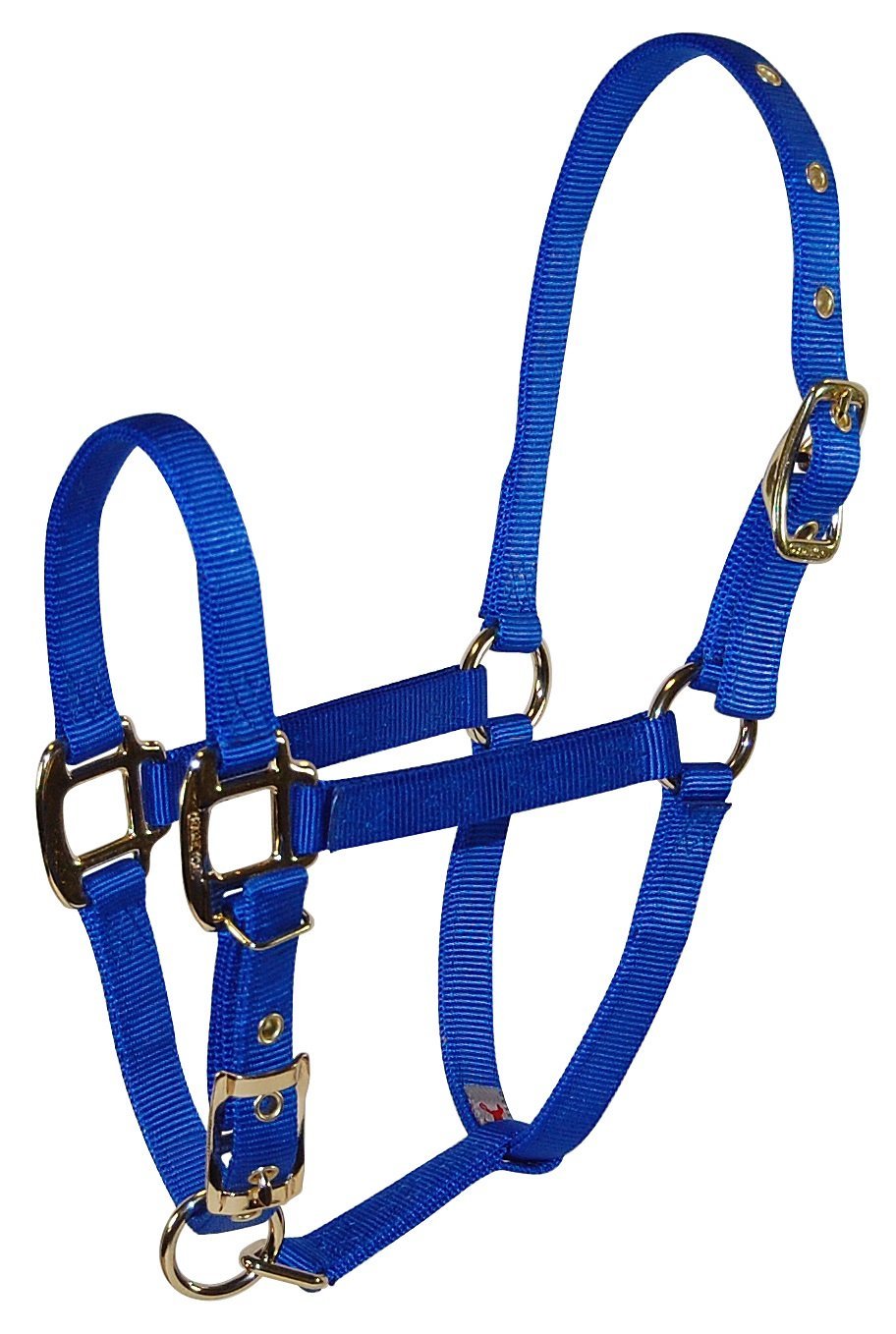 [AUSTRALIA] - Hamilton 3/4" Nylon Adjustable Chin Horse Halter, Weanling, Blue 