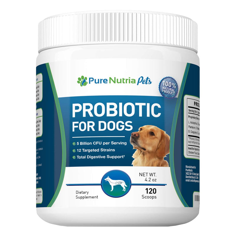 PureNutria Dog Probiotics Dog Supplements - for Dog Diarrhea, Upset Stomachs, Yeast, Gas , Dog Allergy and Dog Immune System Support - Made in USA - 12 Targeted Strains 5 Billion CFU - 120 Scoops - BeesActive Australia