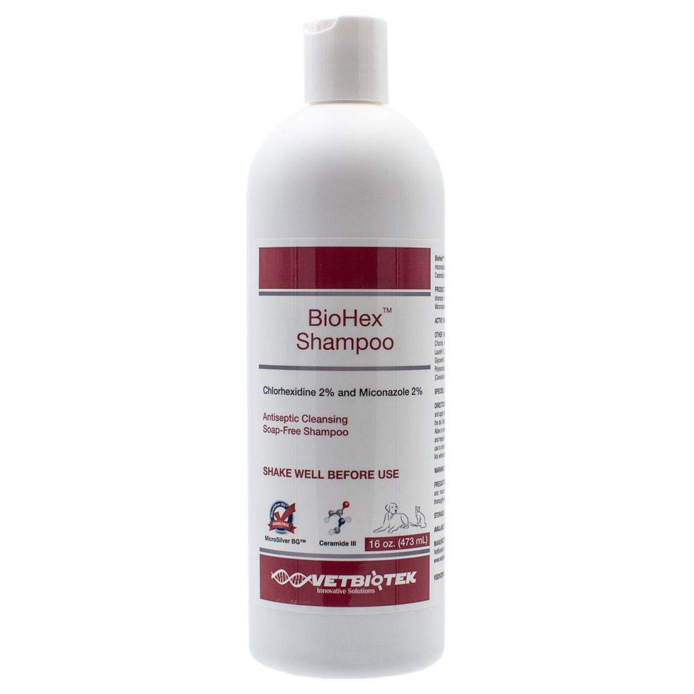 VetBioTek BioHex Chlorhexidine and MicroSilver Shampoo for Skin Infections in Dogs, Cats, and Horses (16 oz) - BeesActive Australia