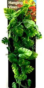 PENN-PLAX Reptology Decorative Hanging Terrarium Plant Vines for Reptiles and Amphibians – 12” Length – Green - BeesActive Australia