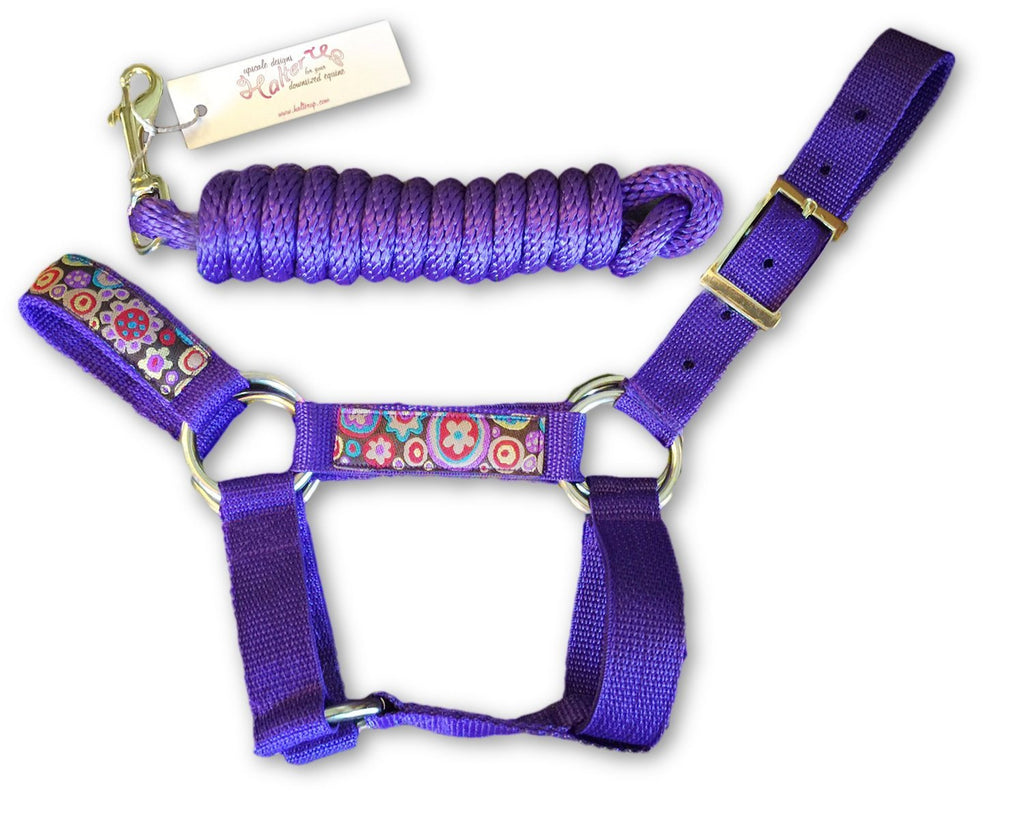 [AUSTRALIA] - HalterUp Miniature Horse Halters and Lead Ropes (2 item bundle) available in 10 colors (Purple, Large) 