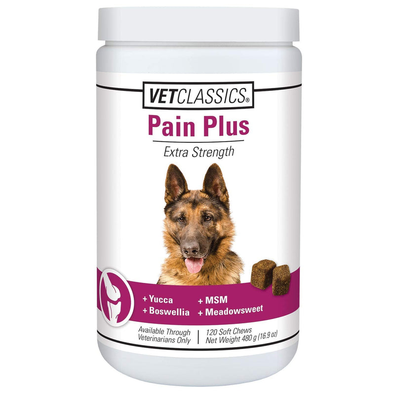 Vet Classics Pain Plus Extra Strength Health Supplement for Dogs 120 Soft Chews - BeesActive Australia