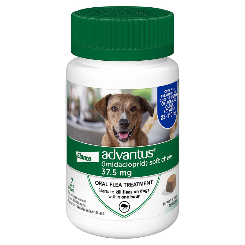 Advantus (Imidacloprid) 7-Count Large Dog Flea Chewable Treatment, for Dogs 23-110 Pounds - BeesActive Australia