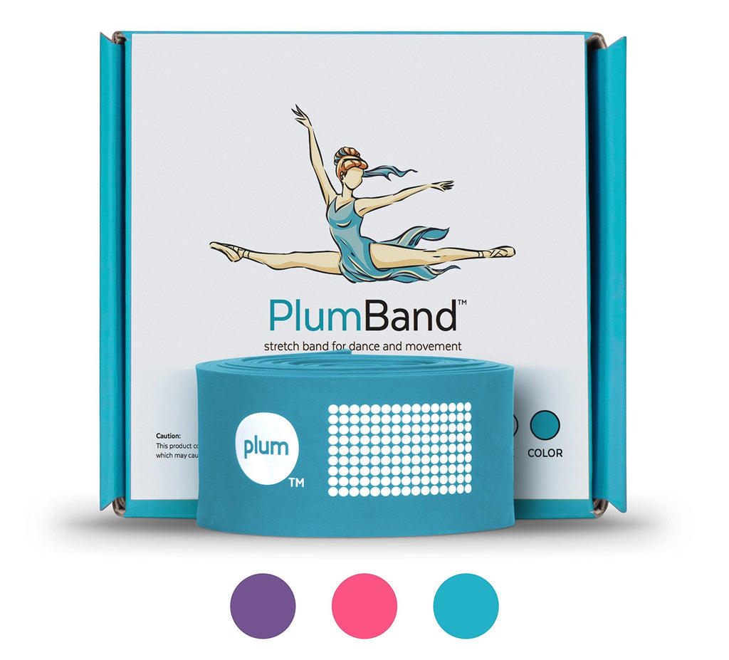 [AUSTRALIA] - The PlumBand Stretch Band for Dance and Ballet – Colors and Sizes for Kids & Adults – Improve Your Splits, Strength, and Flexibility with Stretching – Printed Instruction Booklet and Travel Bag Sky Blue Regular 