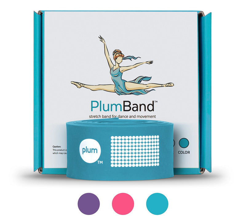 [AUSTRALIA] - The PlumBand Stretch Band for Dance and Ballet – Colors and Sizes for Kids & Adults – Improve Your Splits, Strength, and Flexibility with Stretching – Printed Instruction Booklet and Travel Bag Sky Blue Regular 