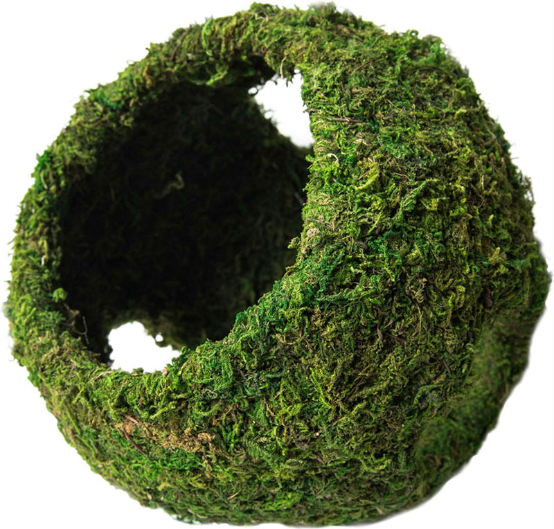 Galapagos 05344 Mossy Cave with Holes for Aquarium, 7.5", Green (759834053446) - BeesActive Australia