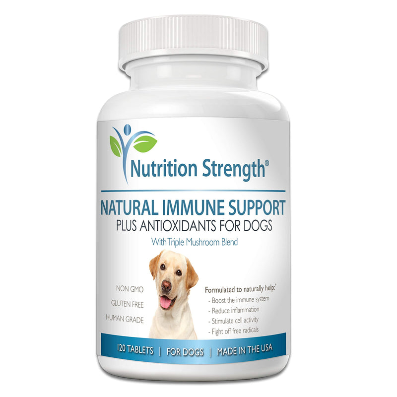Nutrition Strength Immune Support for Dogs Plus Antioxidant, Reishi, Shiitake, Maitake, Turkey Tail Mushrooms for Dogs, with Coenzyme Q10, Nutritional Support for Dogs, 120 Chewable Tablets - BeesActive Australia