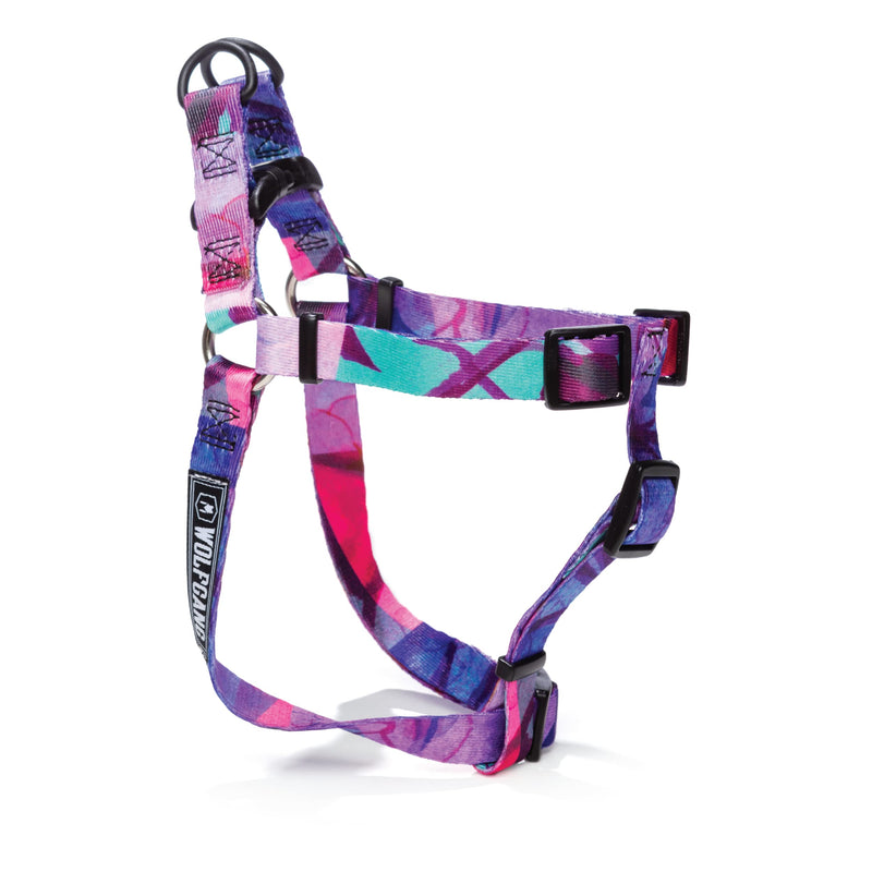 Wolfgang Man & Beast Premium No-Pull Dog Harness for Small Medium Large Dogs, Made in USA Medium (5/8 Inch x 16-24 Inch) DayDream Print - BeesActive Australia