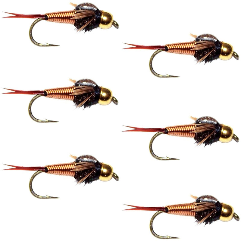 The Fly Fishing Place Bead Head Copper John Nymph Fly Fishing Flies - Set of 6 Flies Hook Size 16 - BeesActive Australia