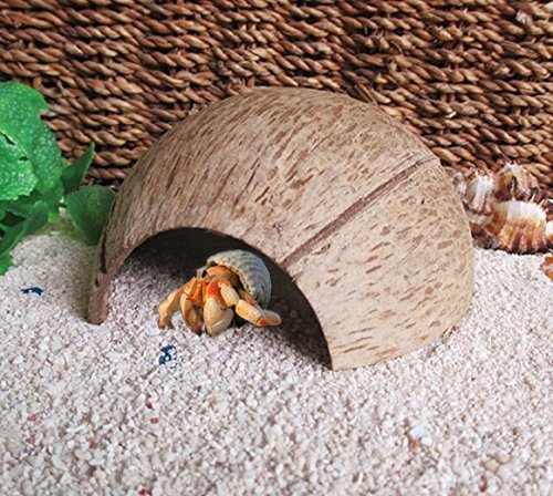Natural Habitat Hideout Reptile, Lizard, Spider, Aquarium, Fish Hide Cave Hermit Crabs, Hamsters Natural Coco Hut Organic Non-Toxic Aquarium Decoration - BeesActive Australia