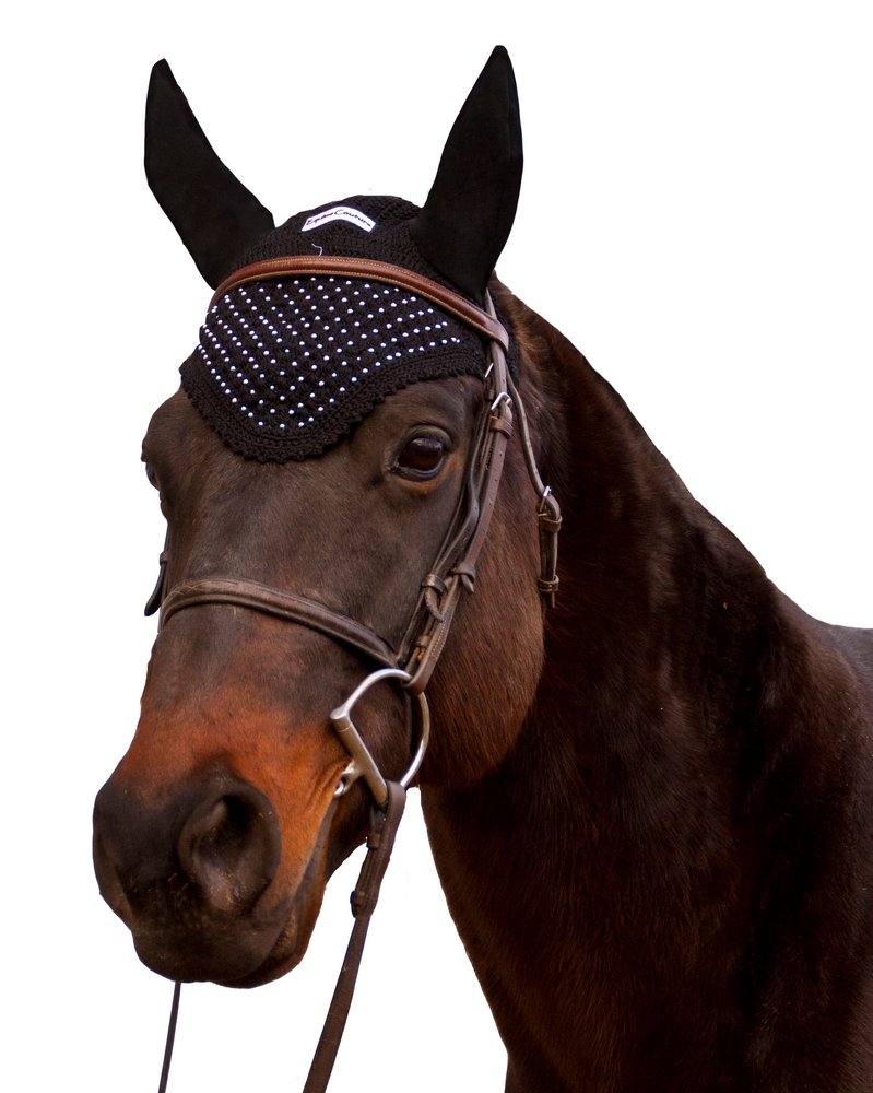 Equine Couture Fly Bonnet Black Full - BeesActive Australia