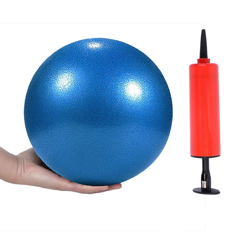 Mini Yoga Pilates Ball 10 Inch for Stability Exercise Training Gym Anti Burst and Slip Resistant Balls with Inflatable Straw Blue - BeesActive Australia