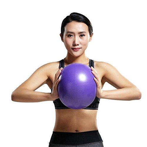Mini Yoga Pilates Ball 10 Inch for Stability Exercise Training Gym Anti Burst and Slip Resistant Balls with Inflatable Straw Purple - BeesActive Australia