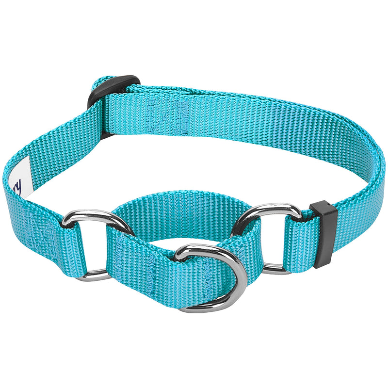 Blueberry Pet Essentials 20 Colors Martingale Safety Training Dog Collars, Personalized Martingale Dog Collars Large Turquoise - BeesActive Australia