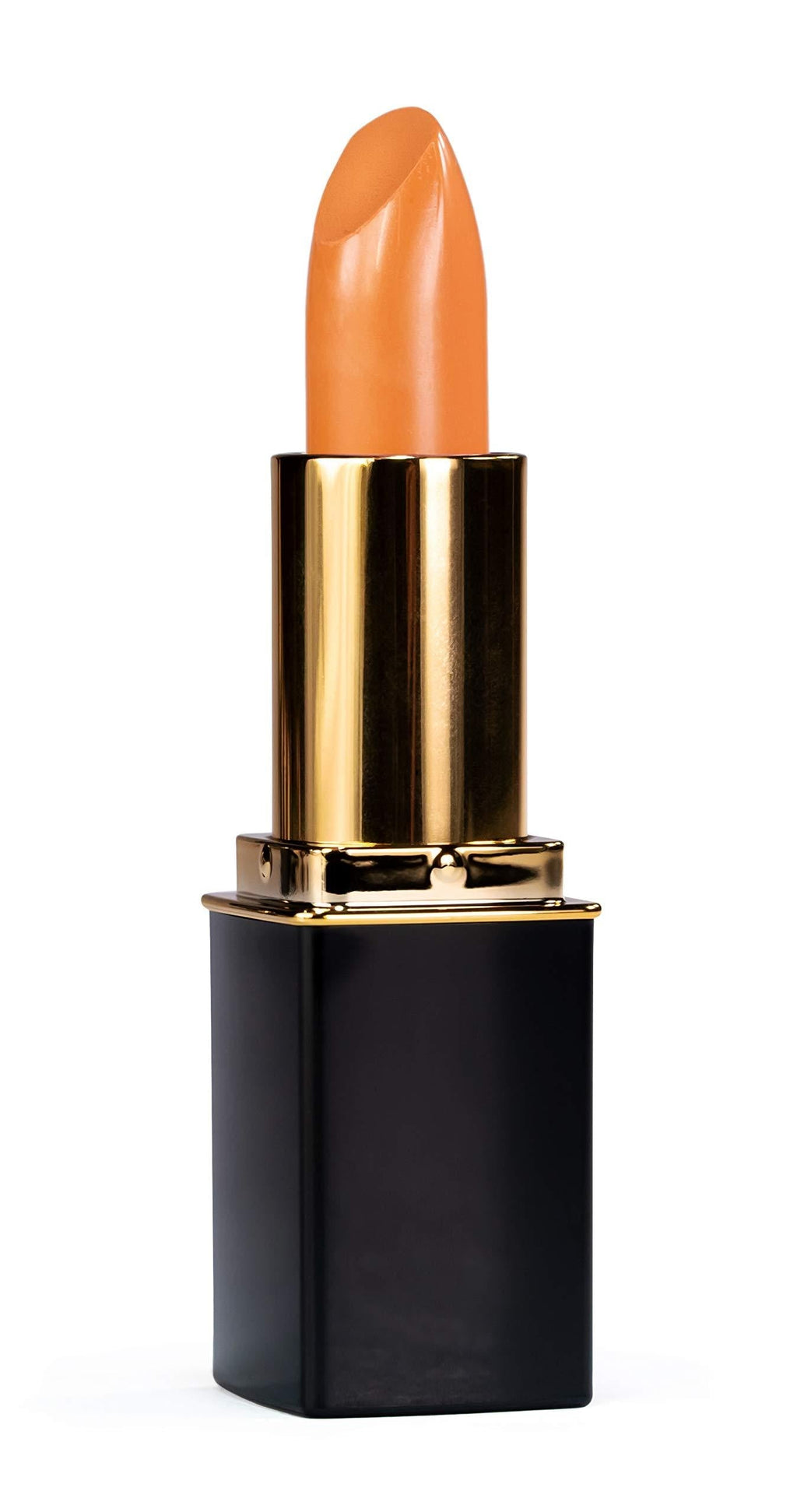 L'Paige L25 Dusty Rose Designer Lipstick, All-Natural, AloeVera, Long-lasting Moisturizing - BeesActive Australia