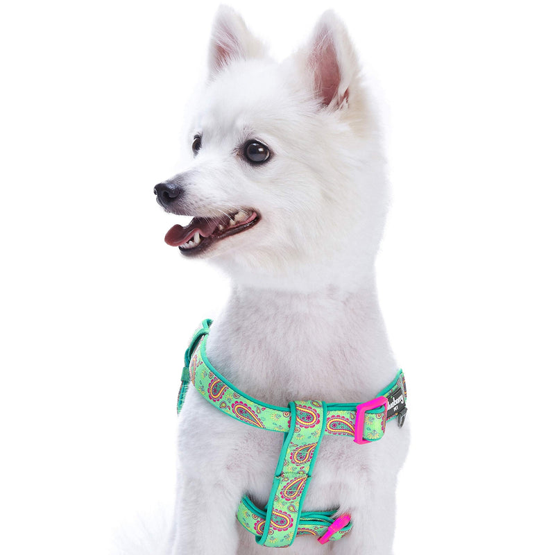 Blueberry Pet 7 Patterns Soft & Comfy Flower Print Neoprene Padded Dog Harnesses (16.5" - 21.5") Chest Girth (Pack of 1) Emerald Green - BeesActive Australia